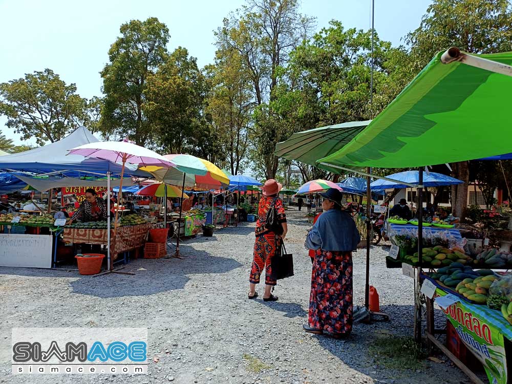 รีวิว “วัดดอนขนาก” นครปฐม