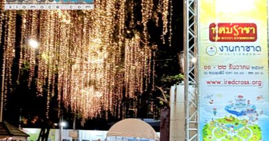 งานกาชาด 11-22 ธันวาคม 2567 ทศม์ราชา